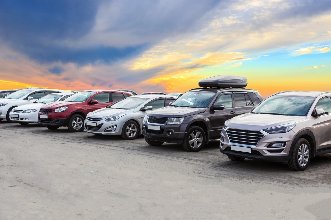 11 Nights 12 Days Kochi Alleppey Thekkady Munnar Tour